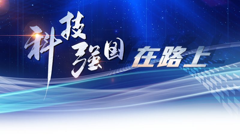 供应链管理软件选型：别让“大而全”拖垮成都中小企业